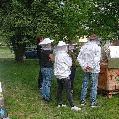 Nowatorskie Podejście Do Pszczelarstwa